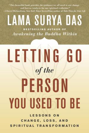 Cover of the book Letting Go of the Person You Used to Be by Sébastien Guillet