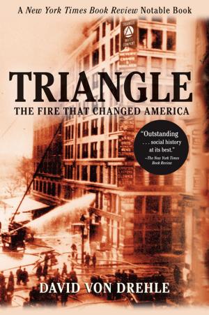 Cover of the book Triangle by Julia Lovell