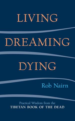 Cover of the book Living, Dreaming, Dying by Shaun McNiff