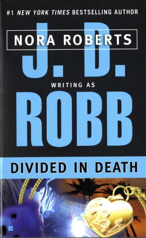 Book cover of Divided in Death