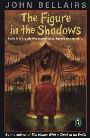 Book cover of The Figure In the Shadows
