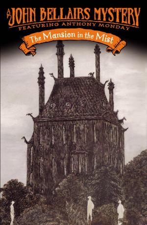 Cover of the book The Mansion in the Mist by Varsha Bajaj