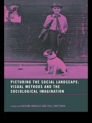 bigCover of the book Picturing the Social Landscape by 