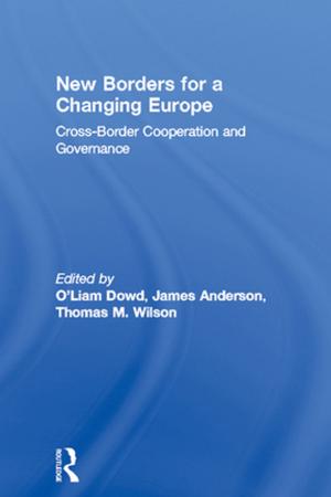 Cover of the book New Borders for a Changing Europe by Graham Tipple, Kenneth G. Tipple