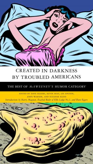 Cover of the book Created in Darkness by Troubled Americans by Himilce Novas, Rosemary Silva