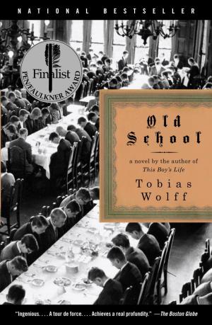 Cover of the book Old School by Ellen Wilder, Amber Root