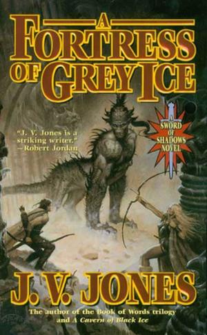 Cover of the book A Fortress of Grey Ice by Kevin J. Anderson