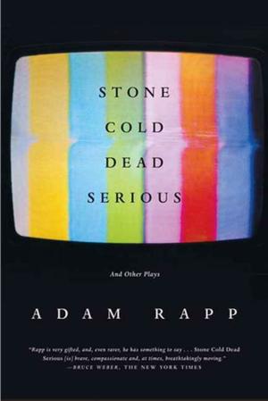 Cover of the book Stone Cold Dead Serious by Durs Grünbein