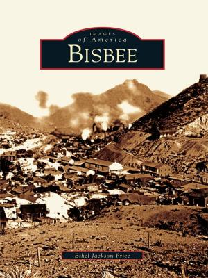 Cover of the book Bisbee by Mark Allen Baker