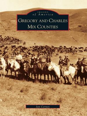 Cover of the book Gregory and Charles Mix Counties by Walter D. Greason