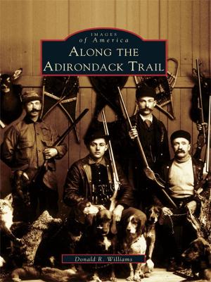 Cover of the book Along the Adirondack Trail by Missy Tipton Green, Paulette Ledbetter