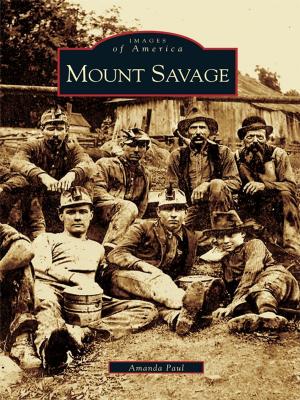 Book cover of Mount Savage