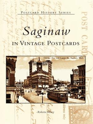 Cover of the book Saginaw in Vintage Postcards by Austin J. Bell, The Marco Island Historical Society