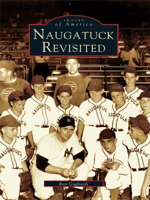 Cover of the book Naugatuck Revisited by Brian Noe, Shelby Docker