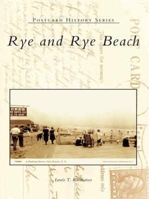 Cover of the book Rye and Rye Beach by Eliot Kleinberg