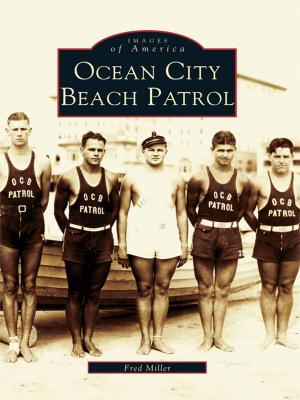 Cover of the book Ocean City Beach Patrol by Thomas D'Agostino, Arlene Nicholson