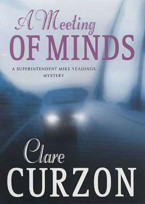 Cover of the book A Meeting of Minds by Susan Strayer