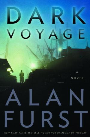 Cover of the book Dark Voyage by Andrew Minhinnick