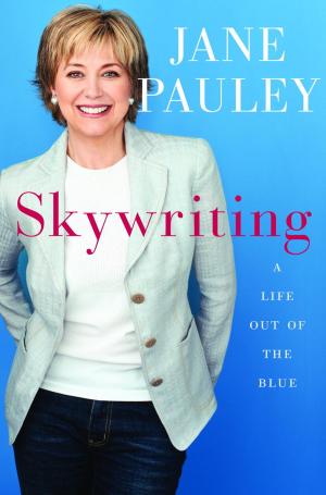 Cover of the book Skywriting by Kathy Clark