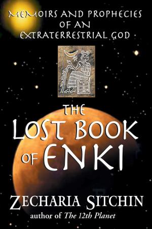 Cover of the book The Lost Book of Enki by Diane Stein