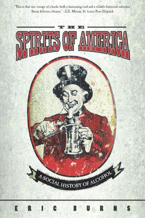 Cover of the book Spirits Of America by Rob Rains