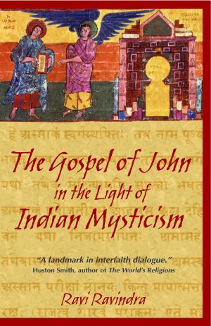 Book cover of The Gospel of John in the Light of Indian Mysticism