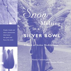 Cover of Snow Melting in a Silver Bowl