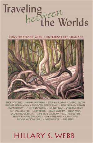 bigCover of the book Traveling between the Worlds: Conversations with Contemporary Shamans by 