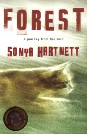 Cover of the book Forest by Justin D'Ath