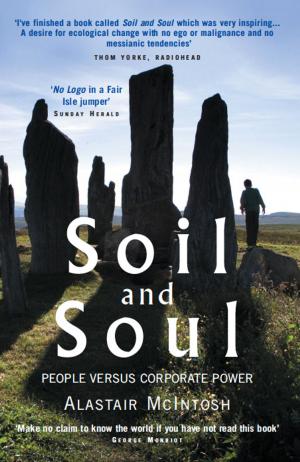 Cover of the book Soil and Soul by Virginia Ironside