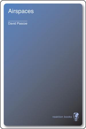 Cover of the book Airspaces by Damian Flanagan