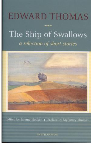 Book cover of The Ship of Swallows