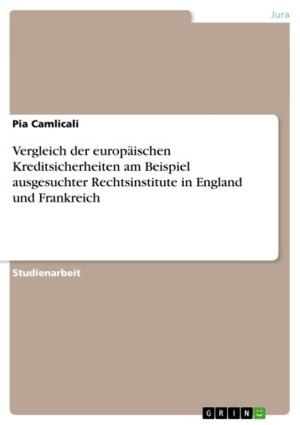 Cover of the book Vergleich der europäischen Kreditsicherheiten am Beispiel ausgesuchter Rechtsinstitute in England und Frankreich by Michael Fischer