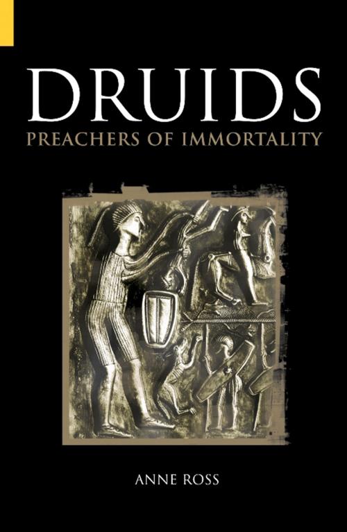 Cover of the book Druids by Anne Ross, The History Press