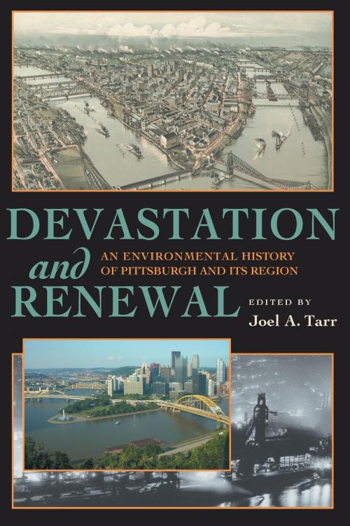 Cover of the book Devastation and Renewal by , University of Pittsburgh Press