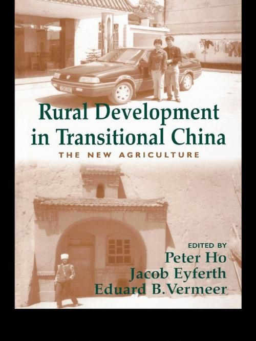 Cover of the book Rural Development in Transitional China by , Taylor and Francis