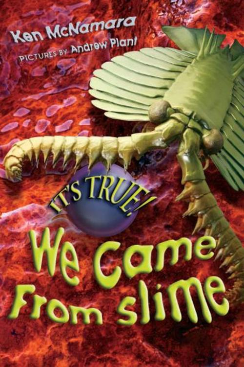 Cover of the book It's True! We came from slime (7) by Kenneth McNamara, Andrew Plant, Allen & Unwin