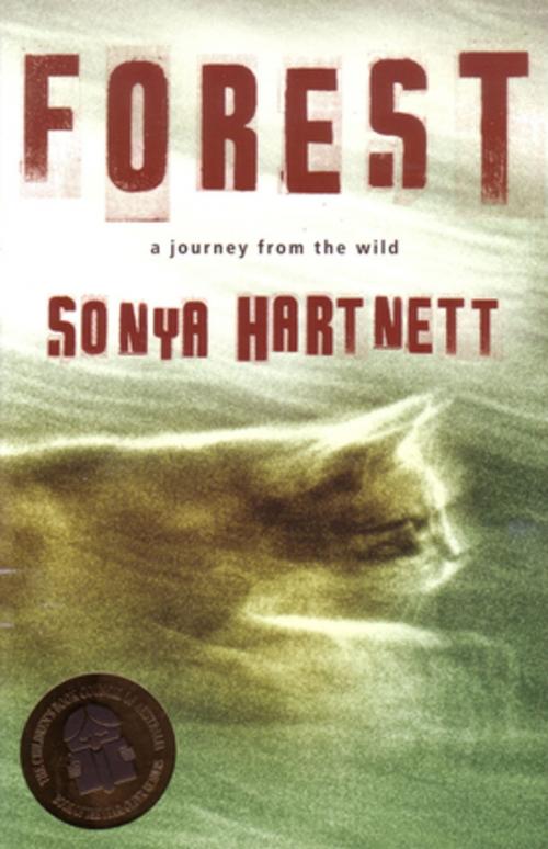 Cover of the book Forest by Sonya Hartnett, Penguin Random House Australia