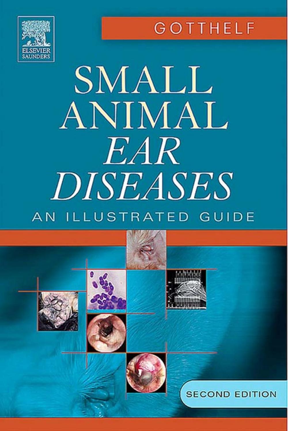 Big bigCover of Small Animal Ear Diseases - E-Book