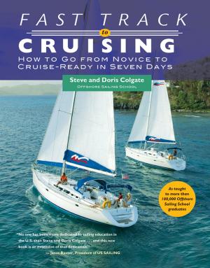 Cover of the book Fast Track to Cruising by Mike Pedler, John Burgoyne, Tom Boydell