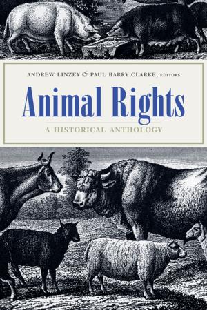 Cover of the book Animal Rights by Rey Chow
