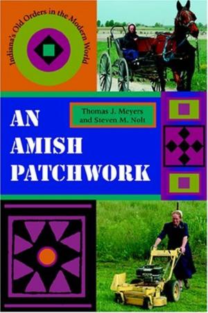bigCover of the book An Amish Patchwork by 