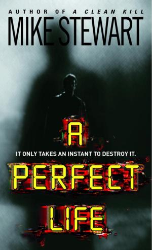 Cover of the book A Perfect Life by Edward Klein