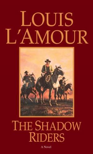 Cover of the book The Shadow Riders by Jane Thynne