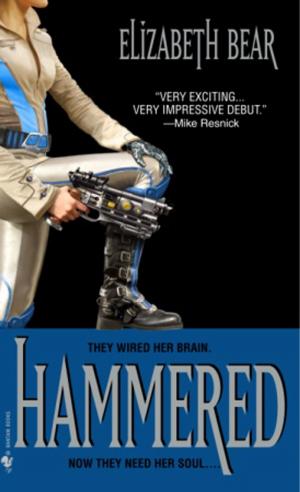 Cover of the book Hammered by Fiona Mountain