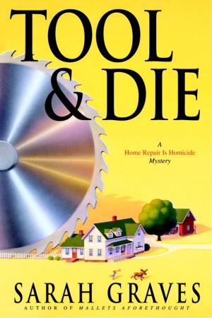 Cover of the book Tool & Die by Nina Sadowsky