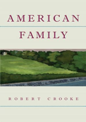 Cover of the book American Family by Rainie Shin
