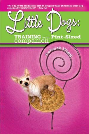 Cover of the book Little Dogs by David E. Boruchowitz