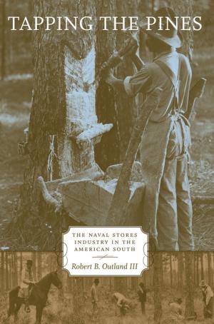 Book cover of Tapping the Pines