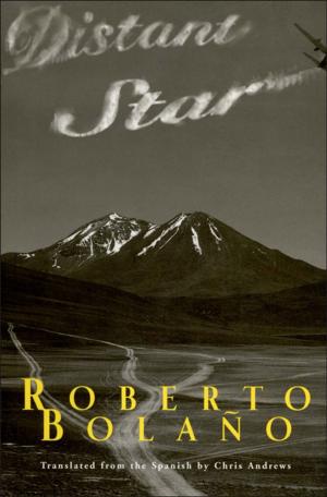 Cover of the book Distant Star by Robert Walser, Reto Sorg